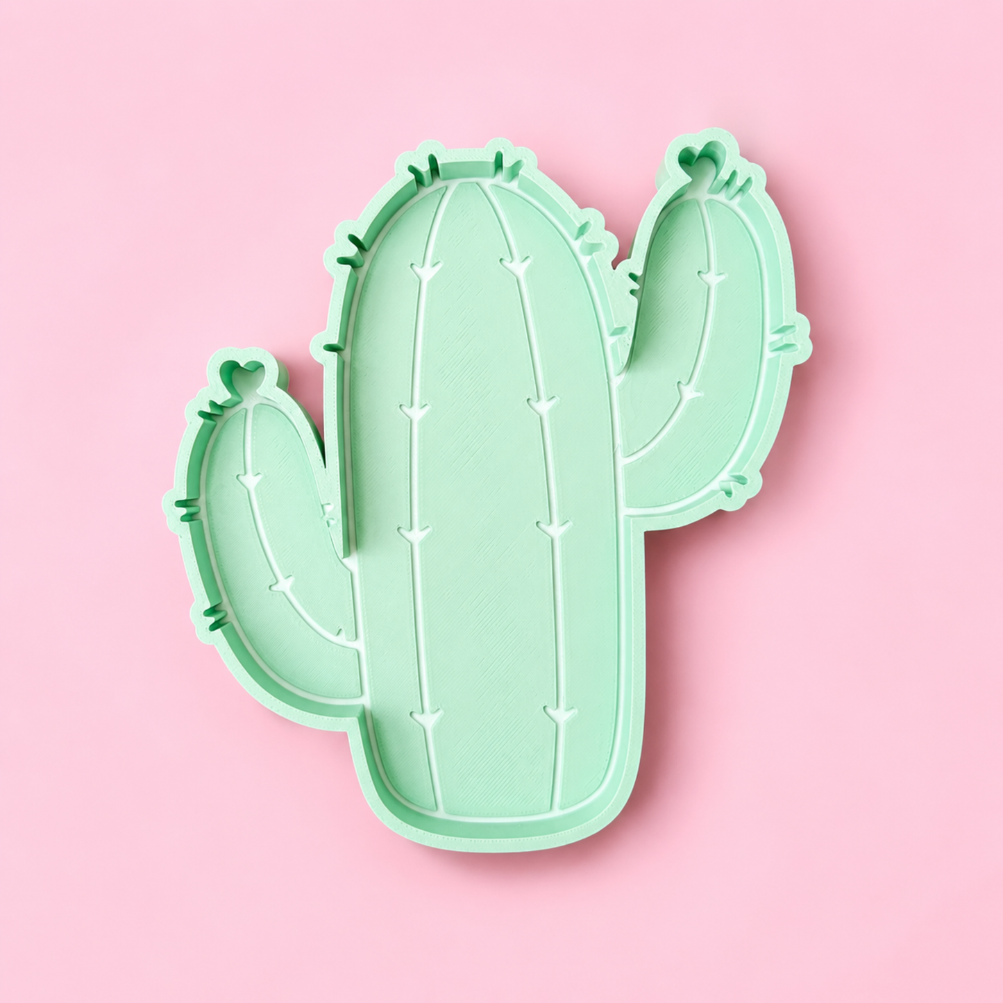 Cactus Trinket Tray